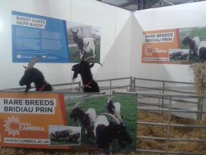 Coleg Cambria at the Royal Welsh Show 16.05.2015